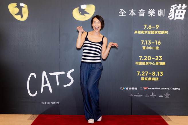 音乐剧《猫》巡迴最终站在台北 演艺圈众星云集朝圣-雨霖铃_词牌名