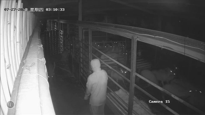 中颱杜苏芮来袭，恒春半岛27日风雨不断，不料竟还有宵小趁颱风夜行窃，不仅偷2只小鹿，还将1只偷不走的公鹿四肢綑绑随意丢弃地上。（警方提供／谢佳潾屏东传真）