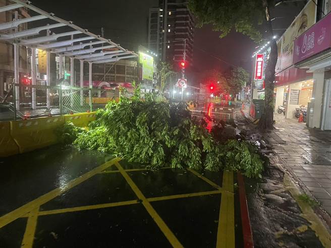 高雄三民區大順路傳出路樹倒塌，險波及一旁輕軌工程。（翻攝照片／崔正綱高雄傳真）