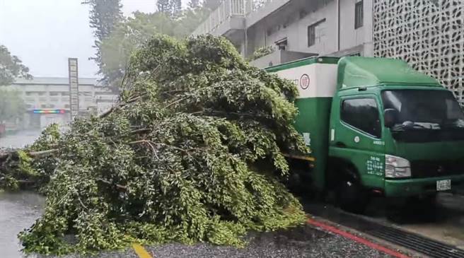 杜蘇芮颱風夾帶著驚人的強風及雨勢今早強襲金門，已有多處路樹、路牌及工地圍籬傾倒，災情陸續傳出。(圖／民眾提供)