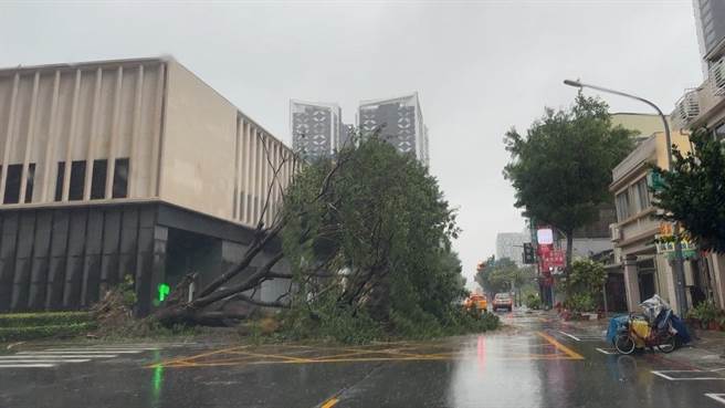 前鎮區復興三路上一棵大路樹連根拔起倒塌。（讀者提供）