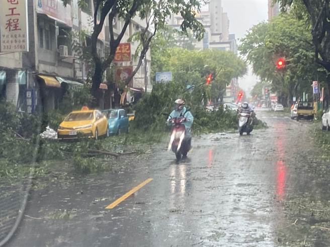 一德路上樹枝被吹落，機車騎士閃避通行。（讀者提供）