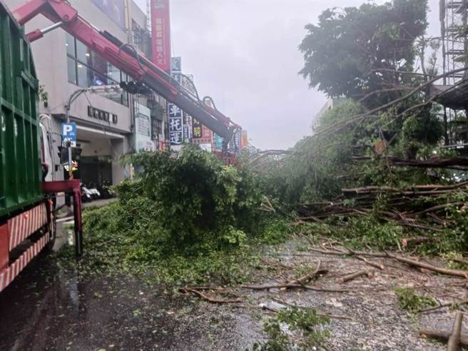 台南市截止上午9点受理逾930件路树倒塌、广告招牌掉落。（台南市工务局提供／曹婷婷台南传真）