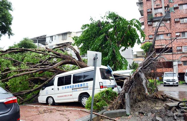 屏東風大雨大，路樹倒塌壓到復康巴士。（林和生攝）