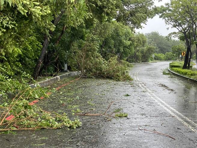 台南多处路段传出路树倒塌。（读者提供／曹婷婷台南传真）