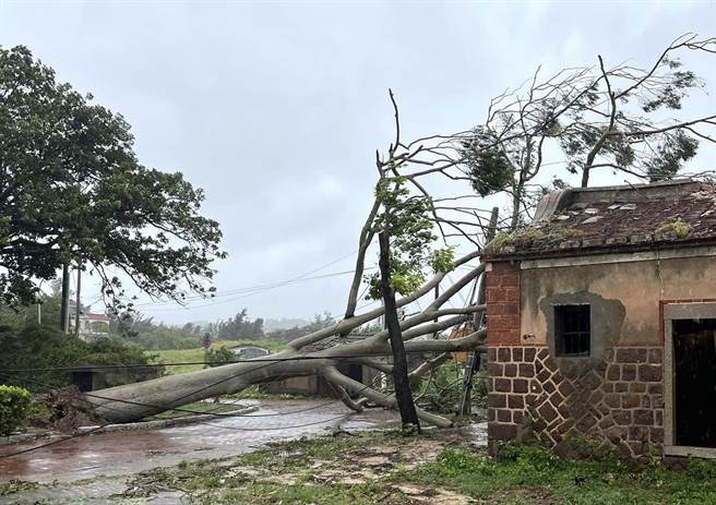 杜苏芮颱风直扑金门灾情四起，陈玉珍奔走联繫全力协助乡亲灾后復原。（图／民眾提供）