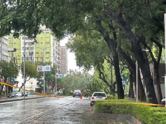 杜苏芮颱风来袭，高雄市27日晚间陆续传出多起路树倒塌，根据养工处统计，直至28日上午8时前，已有259处路树因为不敌强风吹袭而倒塌。（杨舒婷摄）