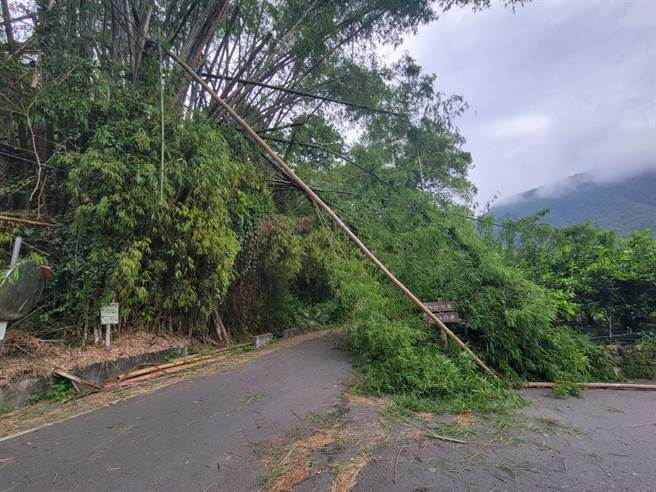 埔里镇眉溪沿岸多里的空旷地区因颱风尾强劲风势，牛眠里一处路树因强风吹袭倒伏。（民眾提供／杨静茹南投传真）