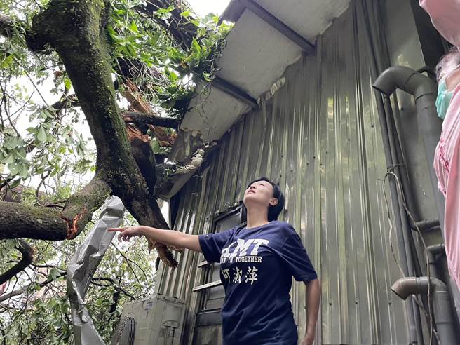 ▲市议员何淑萍于现场会勘，协调信义区公所协助处理，并希望国产署及基市府未来能针对这些有风灾危险疑虑的树木，先行修剪。（市议员何淑萍提供／徐佑升基隆传真）