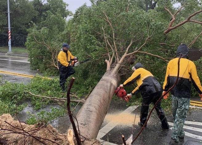 中颱杜蘇芮重創金門，今日下午趁著風雨稍歇，軍民接出動大批人力進行災後清理。(圖／民眾提供)