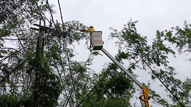 台電強調，看到電線掉落或出現外露狀況，立即通知台電處理，千萬不要自己前去撿拾或碰觸，避免釀成觸電意外。（圖片來源：台電高雄區處提供）