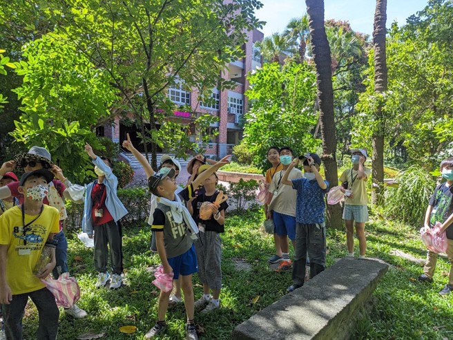 太平国小目前已是北市双语教育学校，校园绿意盎然，拥有丰富的自然生态，小朋友可实际接触到不少花草昆虫。(太平国小提供)