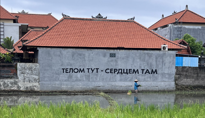 
俄罗斯街头艺术家奥夫塞金（Sergei Ovseikin）1月趁夜幕低垂溜进峇里岛稻田，以投影机在民宅墙上投射俄文反战标语，此举在网路遭到猛烈批评。（图／中央社）