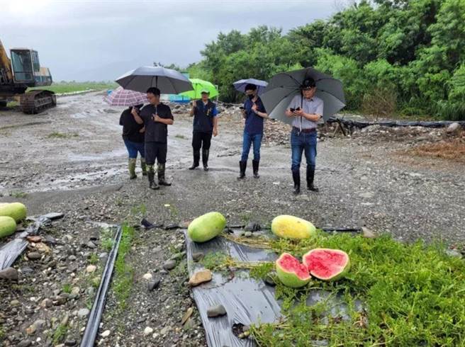 台东县政府统计农灾损失约3000万元，其中以西瓜、洋香瓜水伤最为惨重，农委公告关山镇西瓜和洋香瓜办理现金救助。（台东县政府提供／萧嘉蕙台东传真）