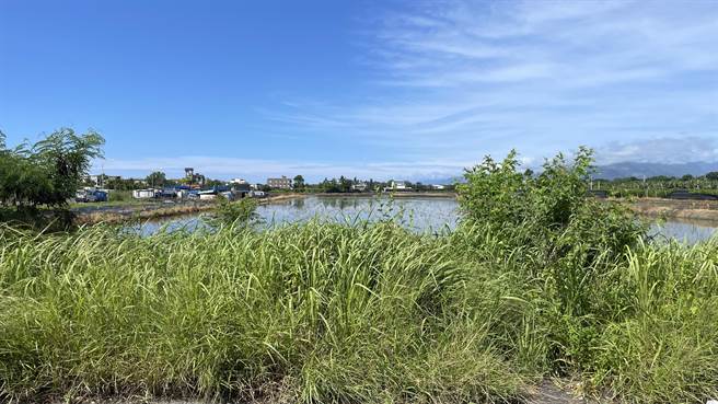 杜苏芮颱风期间，台东各乡镇自25日至28日下午，累积雨量均超过700毫米，导致农作物遭水淹。（萧嘉蕙摄）