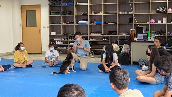 专业谘商师规划团体辅导课程，并出动疗癒犬与青少年互动。(翻摄照片／林郁平台北传真）
