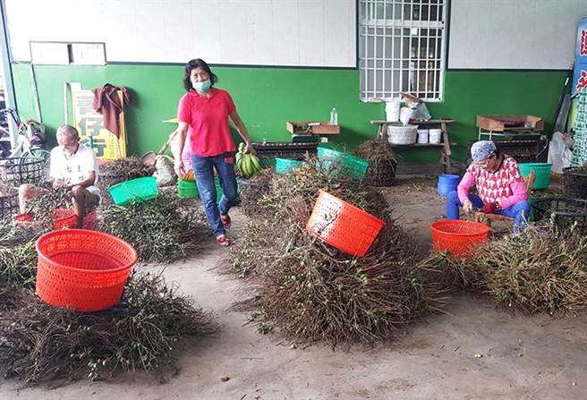 拿假钞买槟榔被逮，两嫌互推「钱是对方的」。(本报资料照)