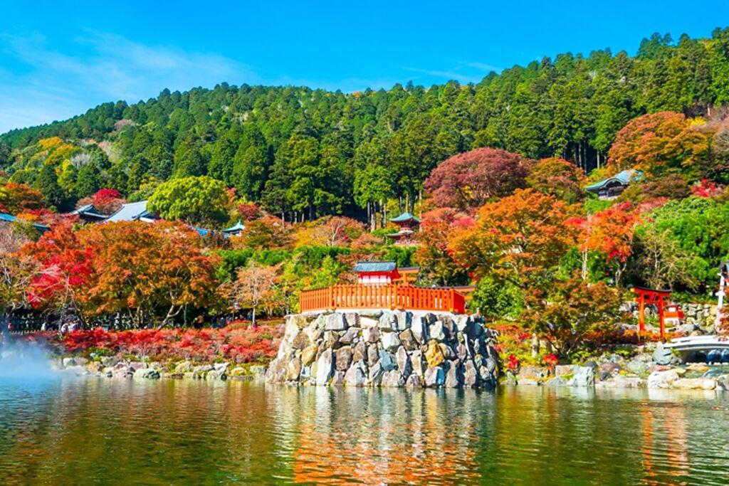 勝尾寺的紅葉面貌繽紛多彩，推薦多次重遊收集四季美景。（圖／勝尾寺）