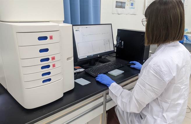 核酸鑑定人员进行火鹤花品种DNA图谱比对。(高雄区农改场提供)