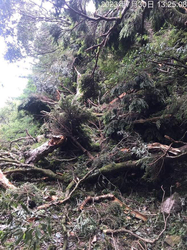 能高越嶺道西段10公里處不僅邊坡崩塌、路基流失，還有倒木阻擋，步道完全無法通行。（南投林管處提供／楊靜茹南投傳真）