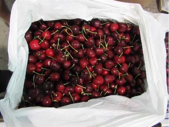 食品药物管理署今天公布边境检验不合格名单，美国樱桃多达6批，合计18.7吨。（食药署提供）
