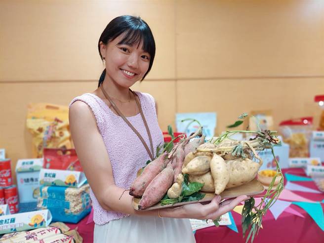 金山「眾望所藷焢窑趣」千人焢窑主活动，将在8月26日展开。（陈慰慈摄）