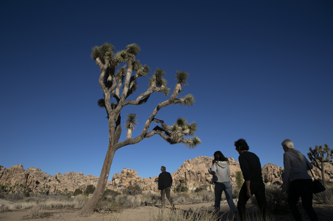 莫哈维沙漠（Mojave desert）。（图／美联社）
