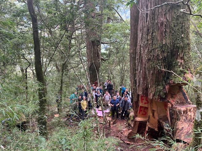 林务局更名更名林业署首日震撼教育，检警、林业署、移民署等各机关人员直击盗伐现场。（林业署南投分署提供／杨静茹南投传真）