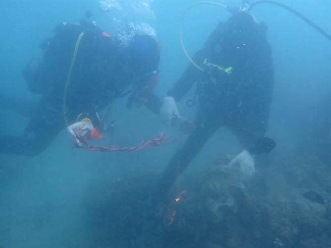 垦管处1日下水探查，将垦丁后壁湖死亡的砗磲贝带回制成标本。（垦管处提供／谢佳潾屏东传真）