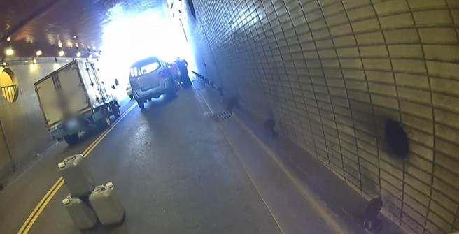 老翁開車行經地下道拋錨，中壢4警合力推車恢復交通。(警方提供／呂筱蟬桃園傳真)