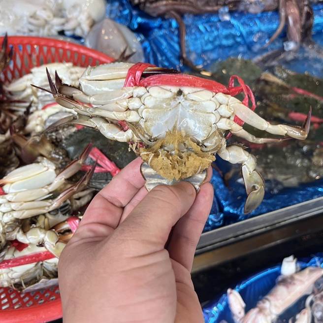 漁業署規定每年8至12月禁止捕捉、販售抱卵母蟹，違者可開罰3至15萬元。（民眾提供／吳建輝彰化傳真）