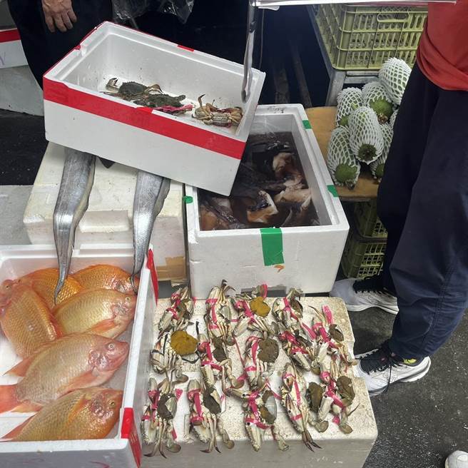 不料今天有民眾在彰化縣員林市華成市場發現攤商公然販售抱卵母蟹，總共28隻。（民眾提供／吳建輝彰化傳真）