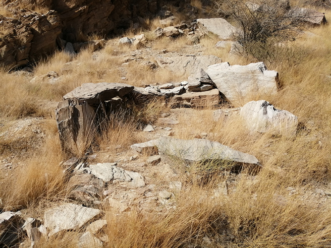 近日网路上疯传的一张岩石风景照，乍看之下空无一物，其实暗藏着一只动物狠瞪着拍摄者。（示意图／达志影像）