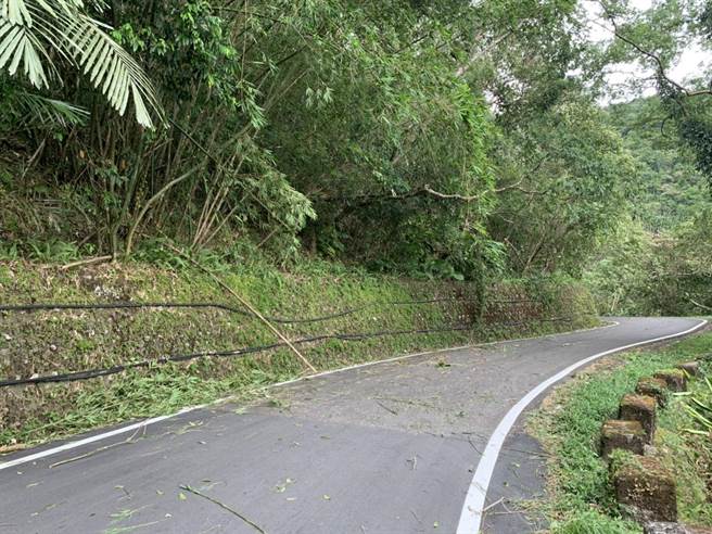 三星分局員警合力徒手將倒塌的樹移至路旁，同時通知三星鄉公所前往清運。（宜蘭縣警察局三星分局提供／吳佩蓉宜蘭傳真）