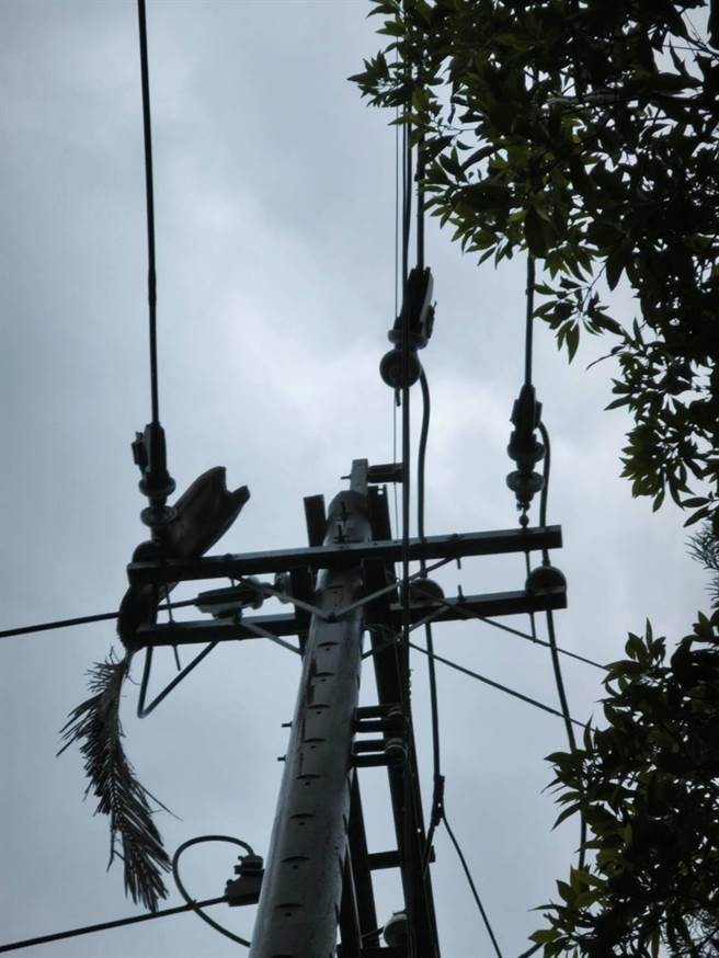 ▲卡努颱風來襲，多處電線因樹枝等外物阻斷供電，一度導致基隆有5802戶無電可用。（台電提供／徐佑昇基隆傳真）