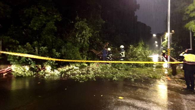 卡努打轉「風雨漸強」，北市中山區路樹倒榻「2車道受阻」。(翻攝照片)