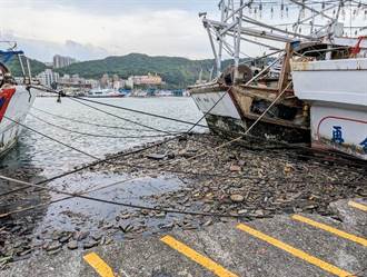 八斗子漁港驚現汙染 疑是廢油過濾槽洩漏