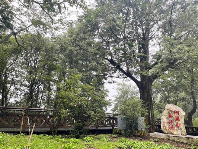 阿里山国家森林游乐区预定明天中午1点恢復开园。（林业及自然保育署嘉义分署提供／吕妍庭嘉义传真）