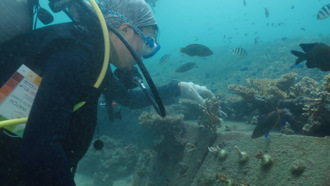 杜蘇芮重創澎湖  官學界與遊憩業者自發淨海復育珊瑚