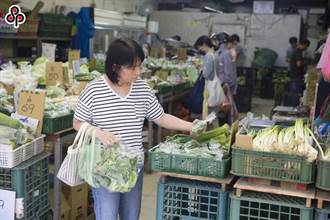 西南風影響蔬菜產區不大 農糧署估菜價將回穩