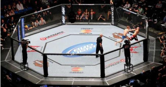 祖克柏為了訓練，在後院擺了格鬥用的八角籠（圖／擷取自prolast.com）