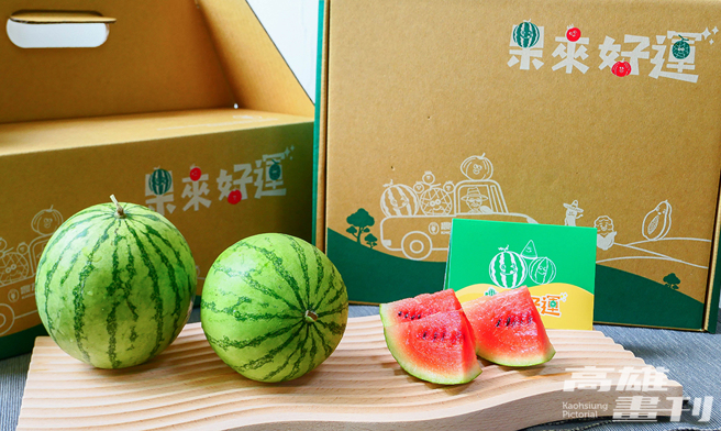 翠绿西瓜如同一颗绿色垒球般大小，一手掌握，清甜可口，现在只有在农友网购通路及高端超市贩售。(摄影/李瑰娴)