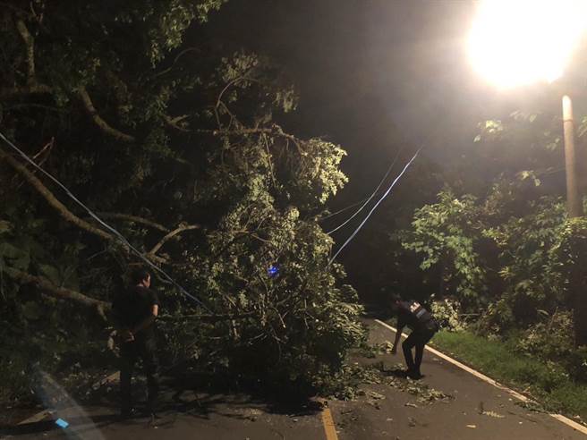 卡努颱风外围环流近日横扫北台湾，桃园龙潭4日发生路树倒塌事故阻断交通。（翻摄照片／蔡明亘桃园传真）