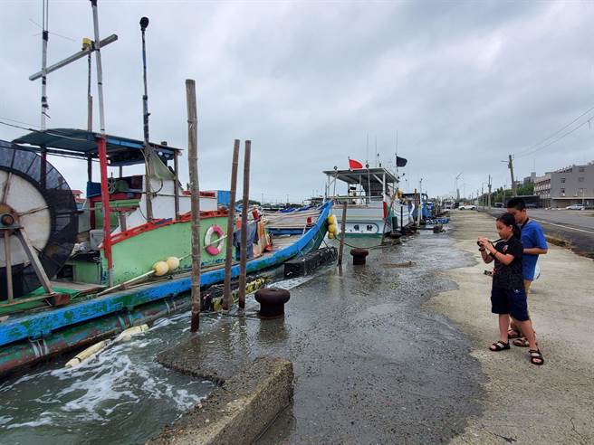 有小朋友第一次看到海水涨潮这么高，在妈妈陪同下做户外踏查记录。（周丽兰摄）