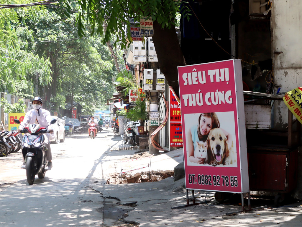 动保意识抬头，越南吃狗肉的风俗退烧，河内2018年关了300家狗肉店。图为河内市一家宠物用品店。（图／中央社）(photo:ChinaTimes)