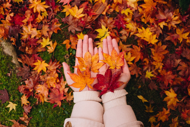 命理專家邱彥龍指出，立秋期間遇雙星逆行，小人、詐騙盛行，但巨蟹座、處女座、雙魚座、牡羊座和水瓶座的發展順利。(示意圖/達志影像)