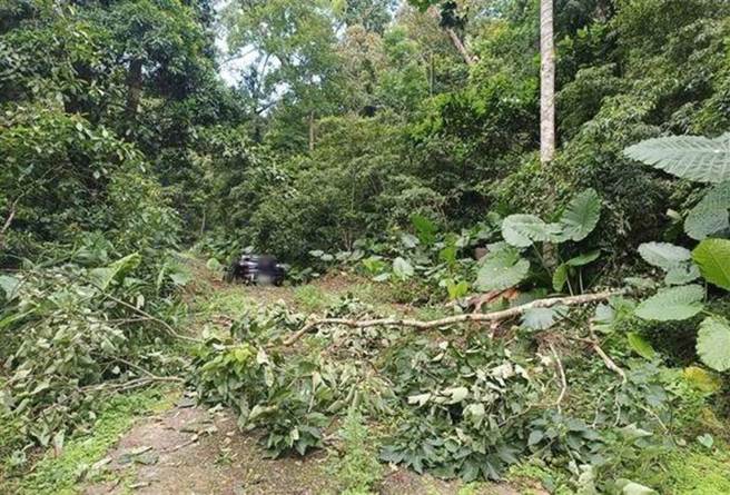苗栗县狮潭乡6日有民眾发现有1家5口在车上死亡多日。（民眾提供／李京升苗栗传真）