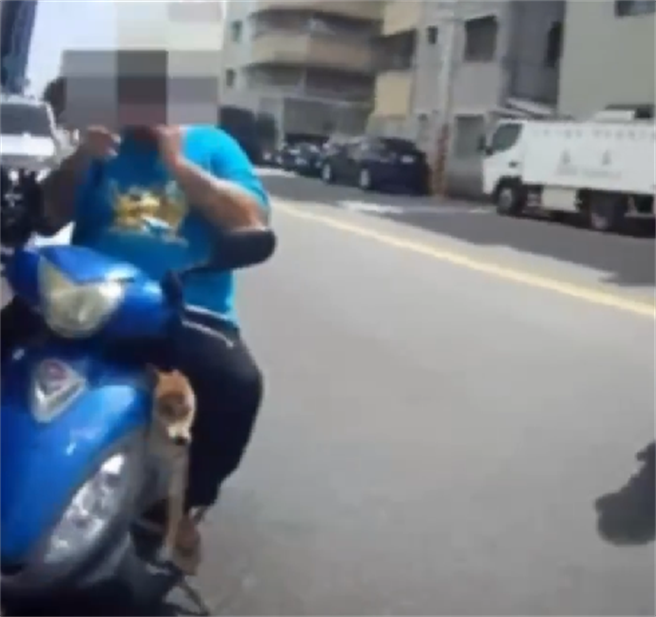 高雄男不爽被开罚，怒呛员警「肖ㄟ」 下场曝光。（高市凤分局提供／杨舒婷高雄传真）