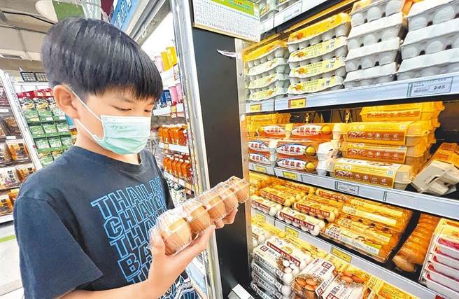 根據農業部公布最新雞蛋產銷資訊指出，國內目前生產蛋雞約3188萬隻，每日雞蛋產量11萬3500箱，與前幾周比未見顯著提升。（范揚光攝）