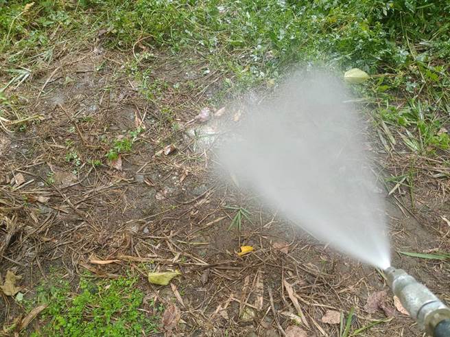 彰化縣動防所已到棄置鵪鶉的區域消毒。（彰縣府提供／孫英哲彰化傳真）